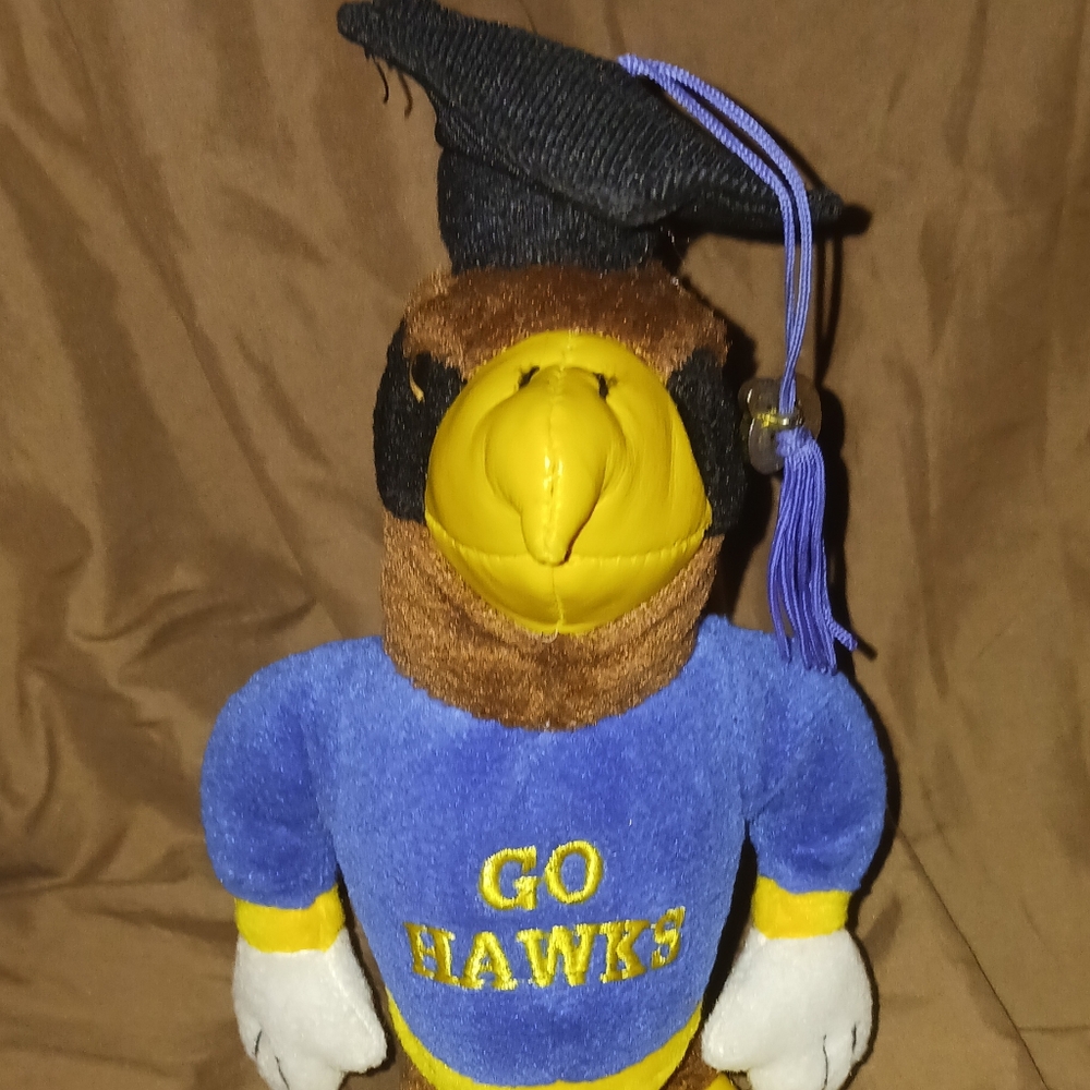 Mascot GO Hawks